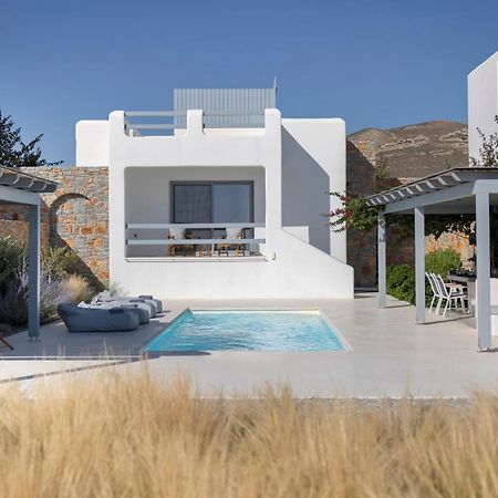 Villa Dione, Private Pool & Seaview By Naxos Dunes Kastrákion Eksteriør billede